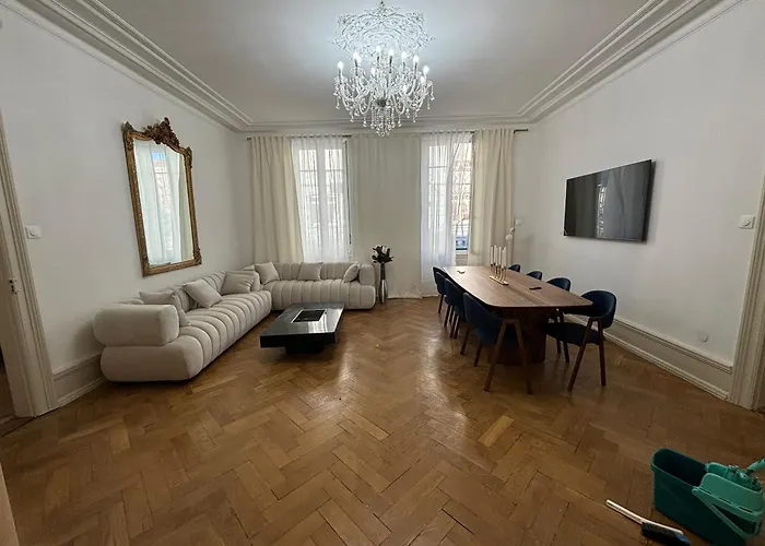 Le Lynx Haussmanien Appartement Tout Confort, Climatise Avec Parking Prive, A Deux Pas Du Centre