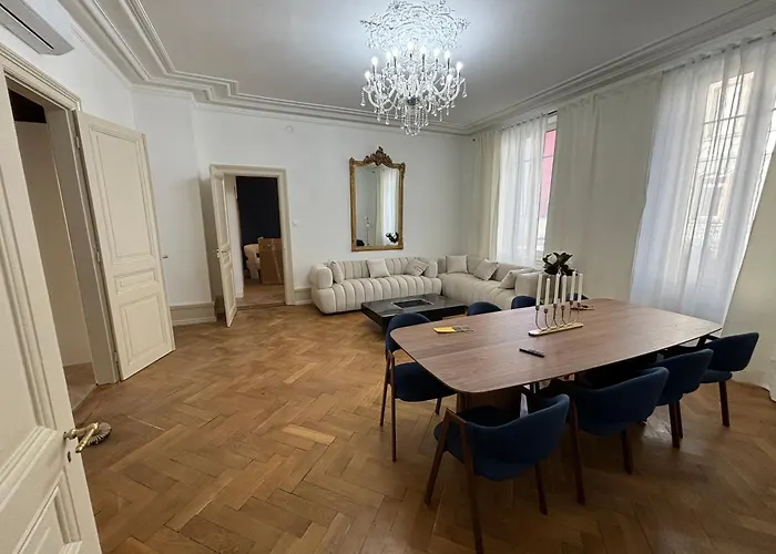 Le Lynx Haussmanien Appartement Tout Confort, Climatise Avec Parking Prive, A Deux Pas Du Centre