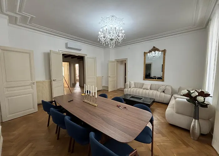 Le Lynx Haussmanien Appartement Tout Confort, Climatise Avec Parking Prive, A Deux Pas Du Centre